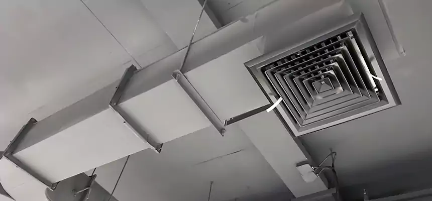 Restorative Allergy Relief Vent Cleaning – Coil, Blower & Housing Detail in Gloversville