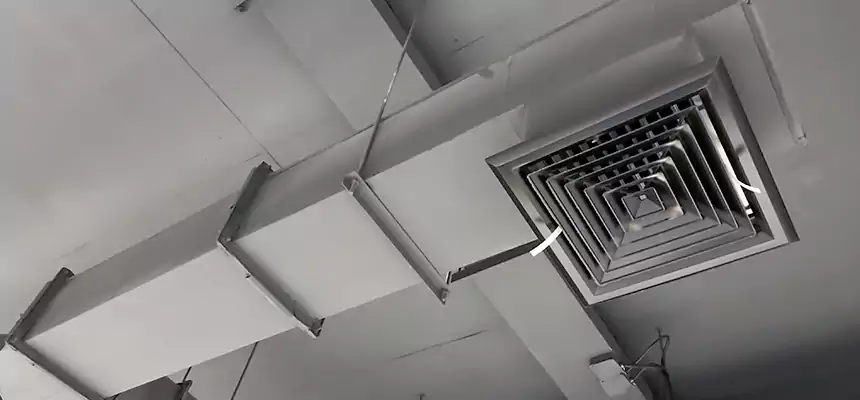 Our Rodent Droppings In Vents Services in Gloversville, NY