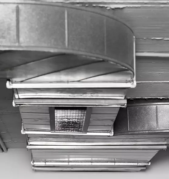 Professional Air Duct Pest Removal in Gloversville, NY