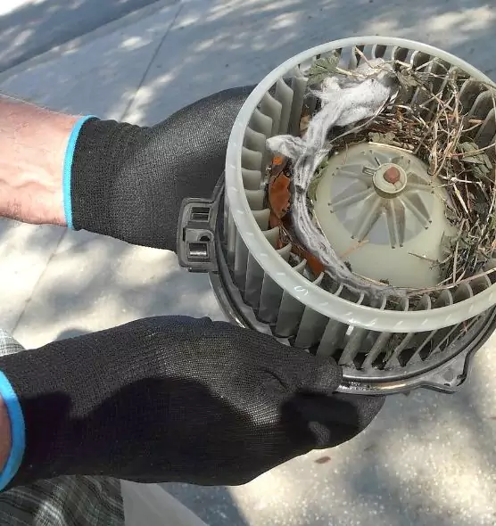 About Air Duct Rat Removal in Gloversville, NY