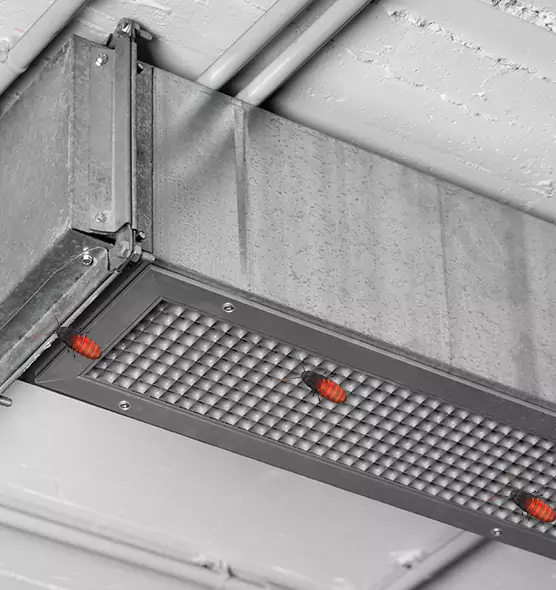Affordable Insect Removal from Air Ducts in Gloversville, NY